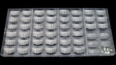 Модуль Exocad Tooth Library Дополнительная библиотека естественных зубов Exocad