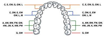 Кламмеры зубные DentSply Ash