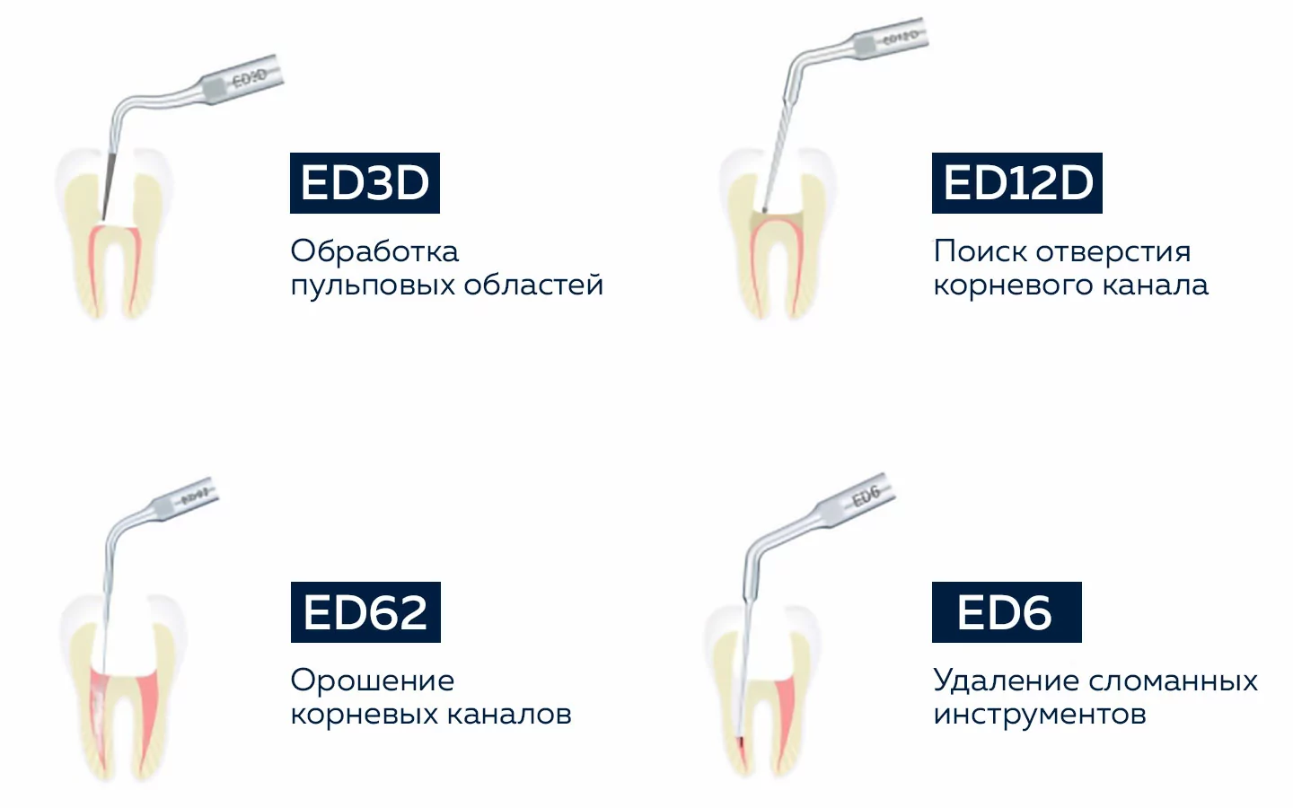 Эндодонтия и пародонтология скейлером D600 LED