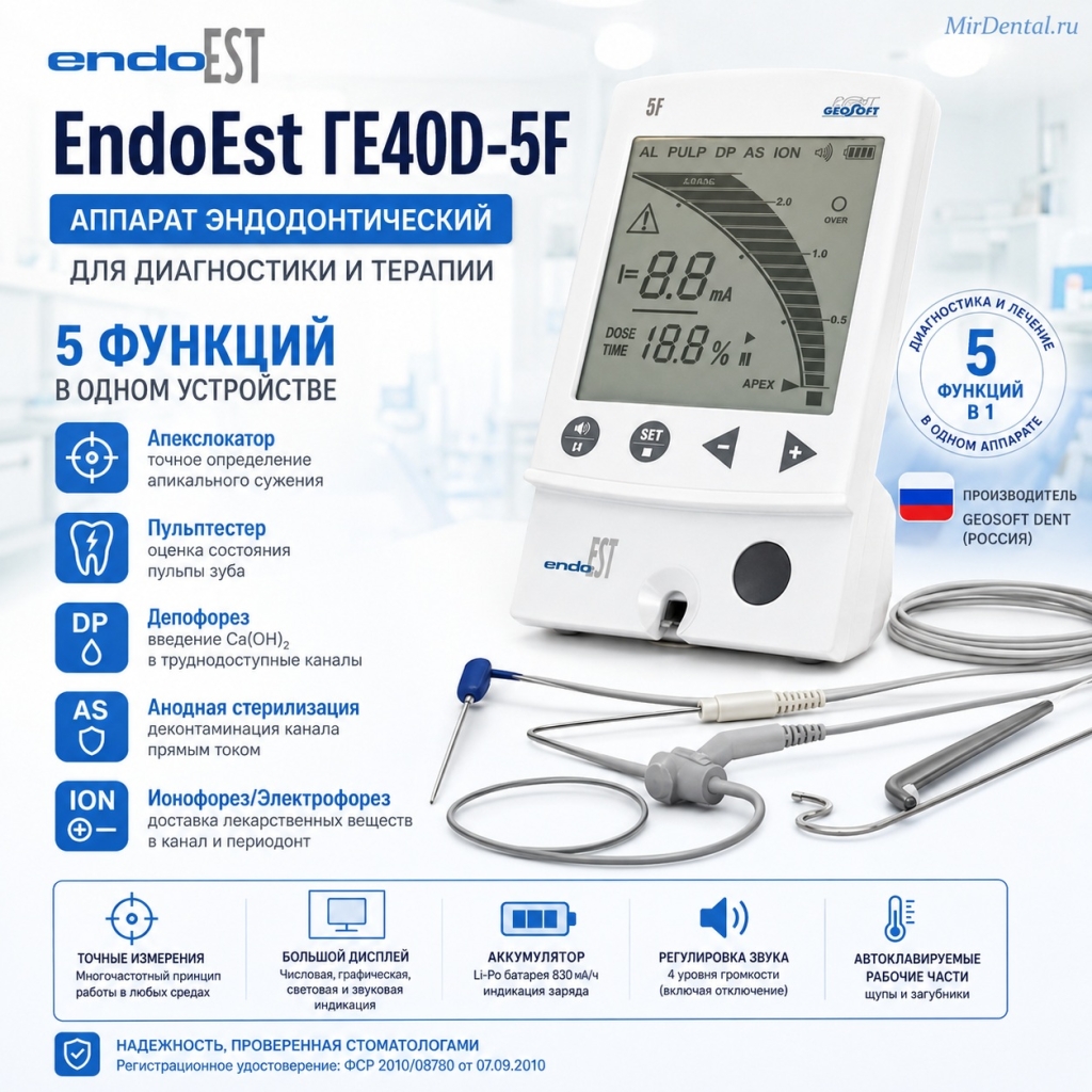 endoest5F.jpg