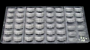 Модуль Exocad Tooth Library Дополнительная библиотека естественных зубов