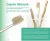 Smart Miswak зубная щётка с щетиной, пропитанной порошком мисвака (Сивак) и черного кремнезема, без необходимости применения зубной пасты SHINYEI KAISHA (Япония)