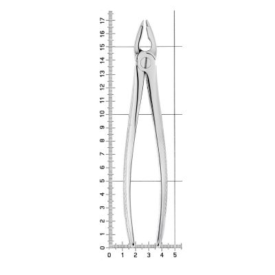 Щипцы для удаления зубов верхние резцы/клыки, 11-34A* HLW Dental (Германия)