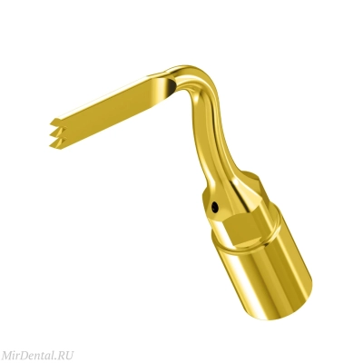 DTE US6 Хирургическая насадка Woodpecker (Китай)