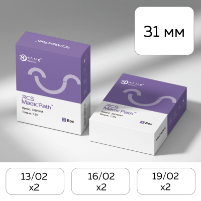 Файлы машинные RCS Silver G Path ассорти 13/02 (2 шт), 16/02 (2 шт), 19/02 (2 шт) (31 мм) (набор 6шт.)
