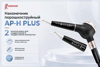 AP-H Plus Аппарат порошкоструйный для соединения Midwest Woodpecker (Китай)  30.13.11.005