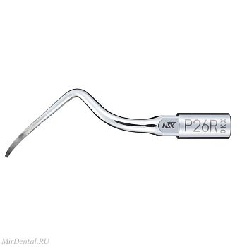 P26R Насадка для скалера